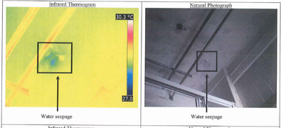 Infrared Camera Images